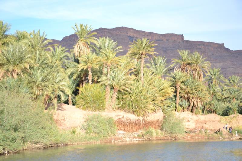 DRAA ZAGORA